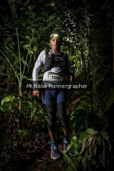 Runner Photo 2531999
