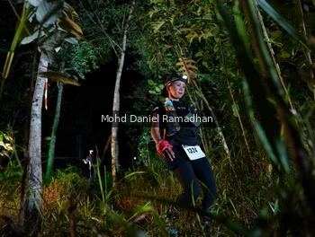 Runner Photo 2532076