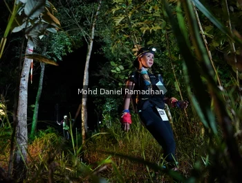 Runner Photo 2532083
