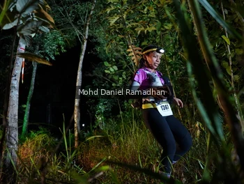 Runner Photo 2532096
