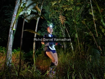 Runner Photo 2532173