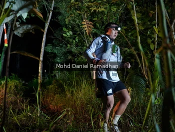 Runner Photo 2532196