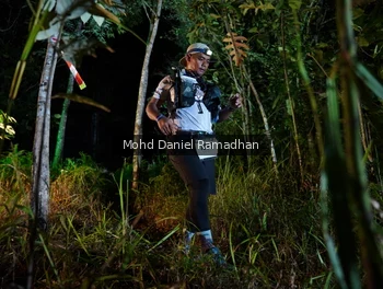 Runner Photo 2532224