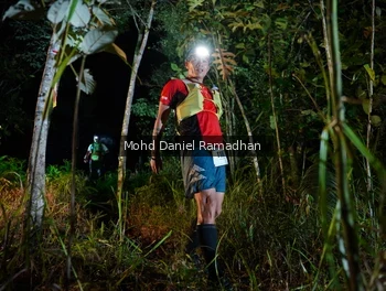 Runner Photo 2532249