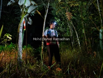Runner Photo 2532253