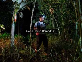 Runner Photo 2532260