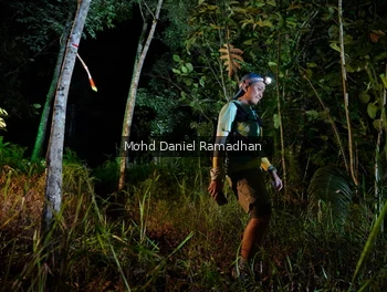 Runner Photo 2532442
