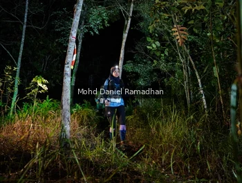 Runner Photo 2532450