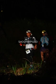 Runner Photo 2532451