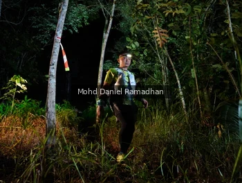 Runner Photo 2532472
