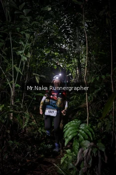 Runner Photo 2532574