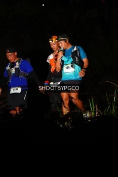 Runner Photo 2532623