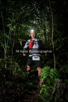 Runner Photo 2532640