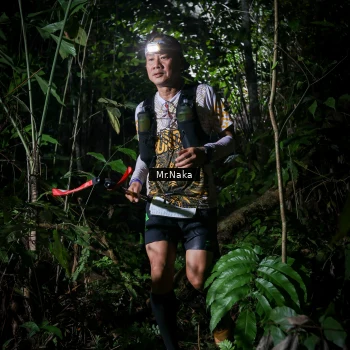 Runner Photo 2532782