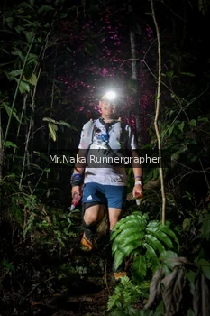 Runner Photo 2532889