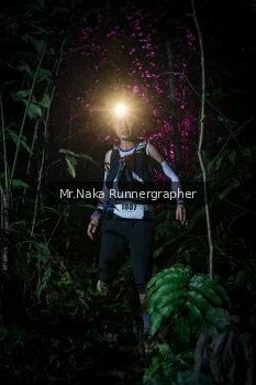 Runner Photo 2532931