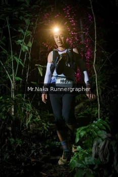 Runner Photo 2532956