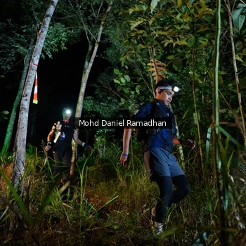 Runner Photo 2532996