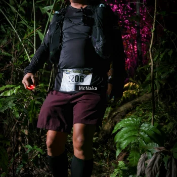 Runner Photo 2533089