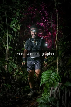 Runner Photo 2533231