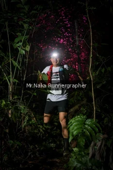 Runner Photo 2533407