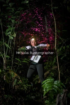 Runner Photo 2533442