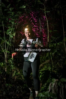 Runner Photo 2533480