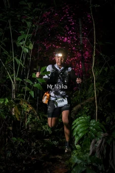 Runner Photo 2533502