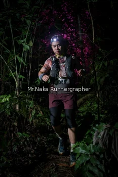Runner Photo 2533578