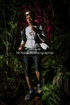 Runner Photo 2533594