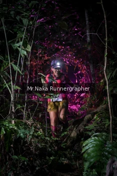 Runner Photo 2533614