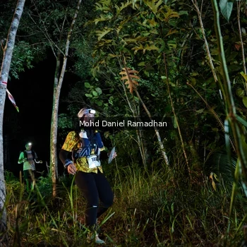 Runner Photo 2533791