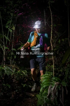 Runner Photo 2533846