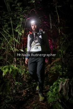 Runner Photo 2533904