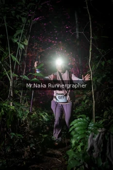 Runner Photo 2533946