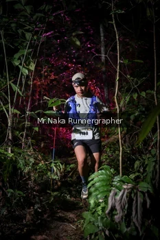 Runner Photo 2533969
