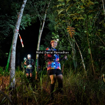 Runner Photo 2534042