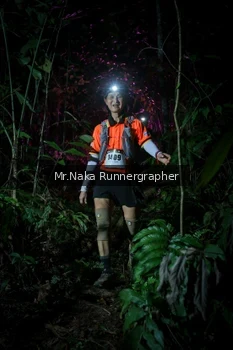 Runner Photo 2534057