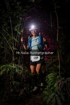 Runner Photo 2534092