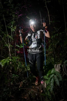 Runner Photo 2534187