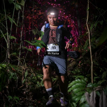 Runner Photo 2534447