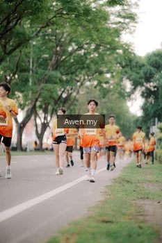 Runner Photo 2536092