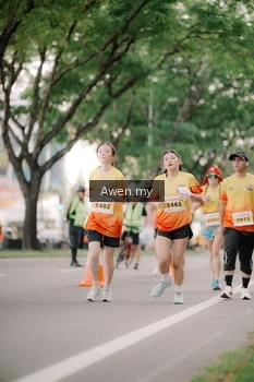 Runner Photo 2536277