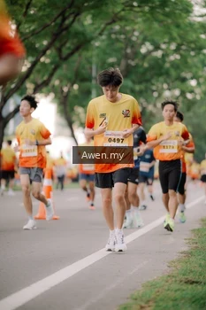Runner Photo 2537237