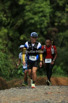 Runner Photo 2537629