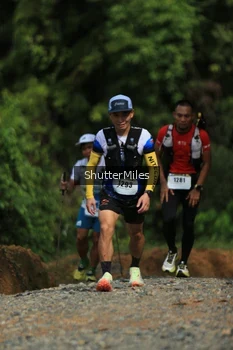 Runner Photo 2537632