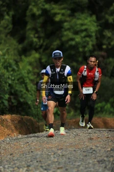 Runner Photo 2537635