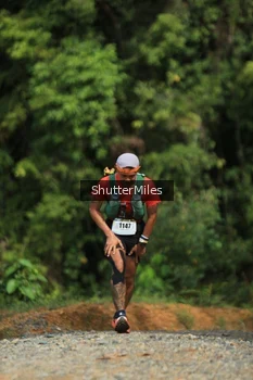 Runner Photo 2537668