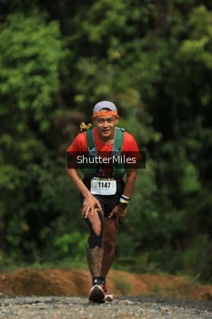 Runner Photo 2537673