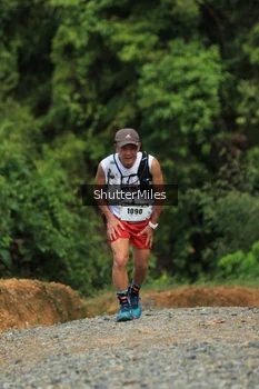 Runner Photo 2538244